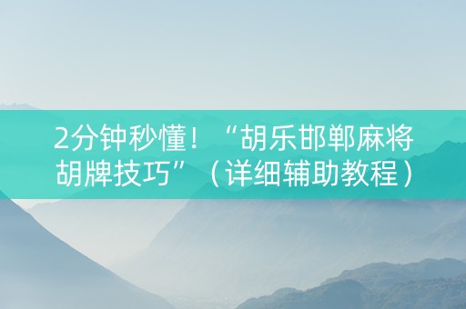 2分钟秒懂！“胡乐邯郸麻将胡牌技巧”（详细辅助教程）-哔哩哔哩