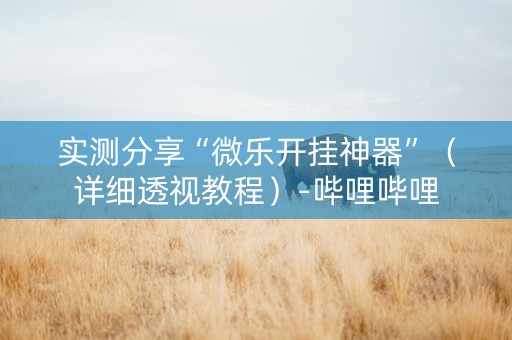 实测分享“微乐开挂神器”（详细透视教程）-哔哩哔哩