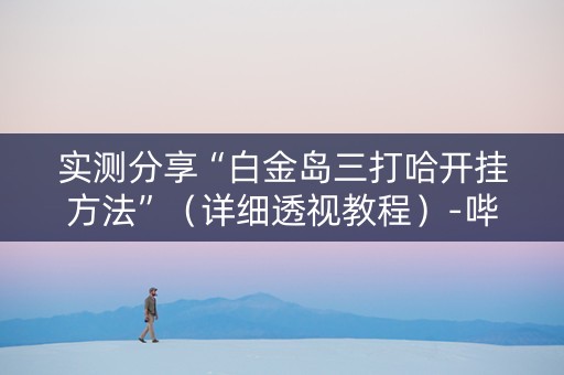 实测分享“白金岛三打哈开挂方法”（详细透视教程）-哔哩哔哩