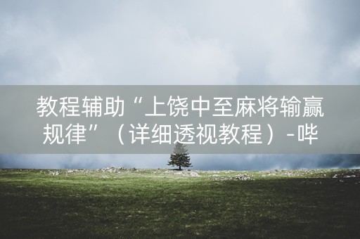 教程辅助“上饶中至麻将输赢规律”（详细透视教程）-哔哩哔哩