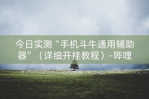 今日实测“手机斗牛通用辅助器”（详细开挂教程）-哔哩哔哩