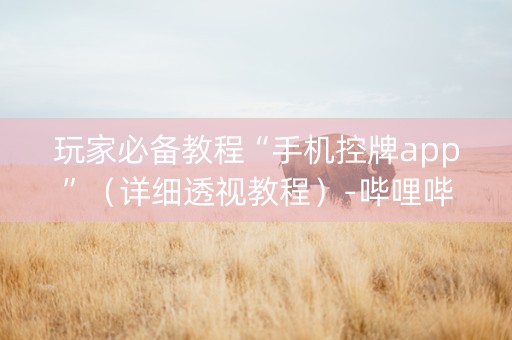玩家必备教程“手机控牌app”（详细透视教程）-哔哩哔哩