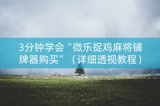 3分钟学会“微乐捉鸡麻将铺牌器购买”（详细透视教程）-哔哩哔哩