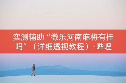 实测辅助“微乐河南麻将有挂吗”（详细透视教程）-哔哩哔哩