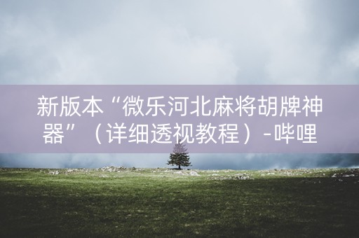 新版本“微乐河北麻将胡牌神器”（详细透视教程）-哔哩哔哩
