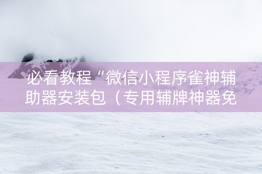 必看教程“微信小程序雀神辅助器安装包（专用辅牌神器免安装）