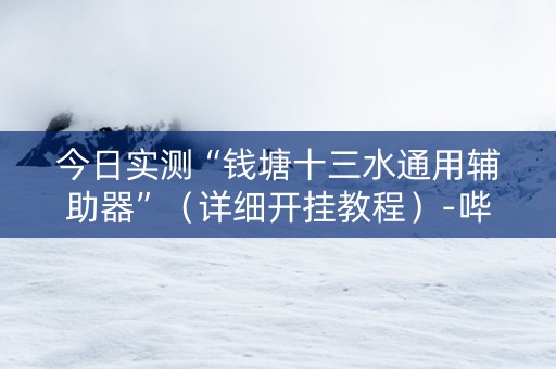 今日实测“钱塘十三水通用辅助器”（详细开挂教程）-哔哩哔哩