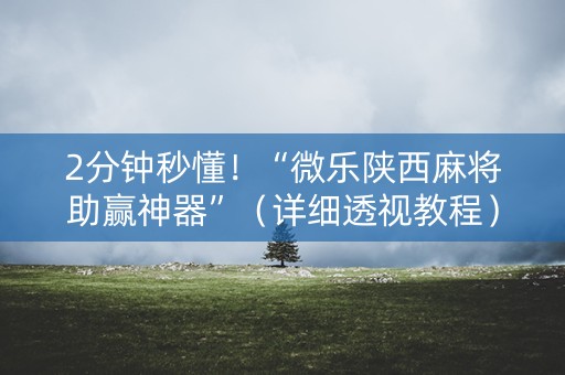 2分钟秒懂！“微乐陕西麻将助赢神器”（详细透视教程）-哔哩哔哩