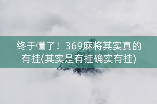 终于懂了！369麻将其实真的有挂(其实是有挂确实有挂)