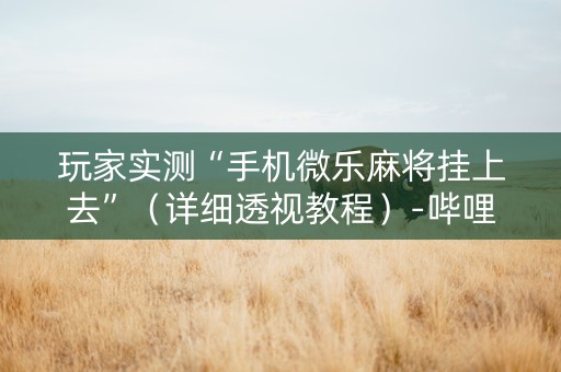 玩家实测“手机微乐麻将挂上去”（详细透视教程）-哔哩哔哩