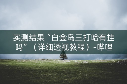 实测结果“白金岛三打哈有挂吗”（详细透视教程）-哔哩哔哩