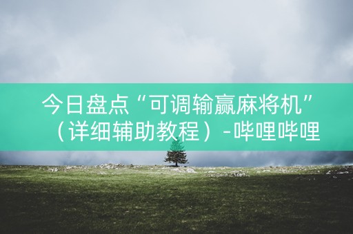 今日盘点“可调输赢麻将机”（详细辅助教程）-哔哩哔哩