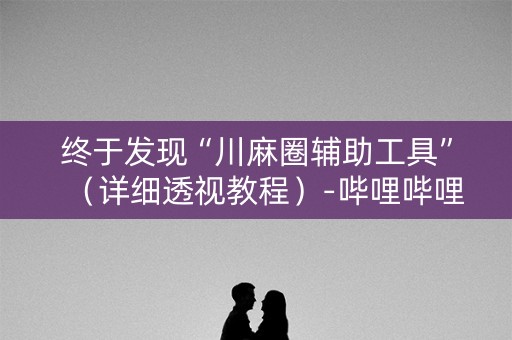 终于发现“川麻圈辅助工具”（详细透视教程）-哔哩哔哩
