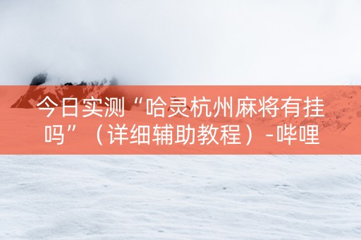 今日实测“哈灵杭州麻将有挂吗”（详细辅助教程）-哔哩哔哩