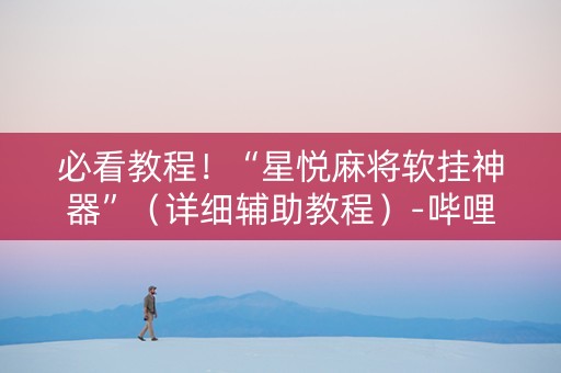 必看教程！“星悦麻将软挂神器”（详细辅助教程）-哔哩哔哩