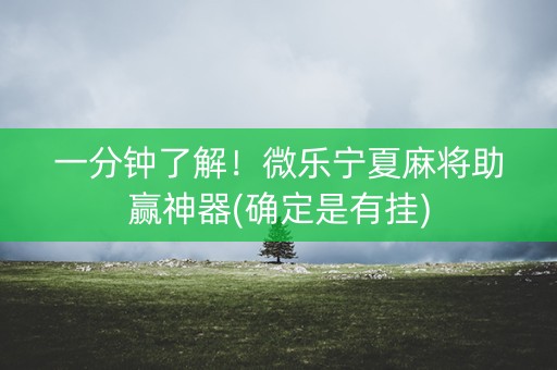 一分钟了解！微乐宁夏麻将助赢神器(确定是有挂)