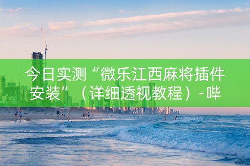今日实测“微乐江西麻将插件安装”（详细透视教程）-哔哩哔哩