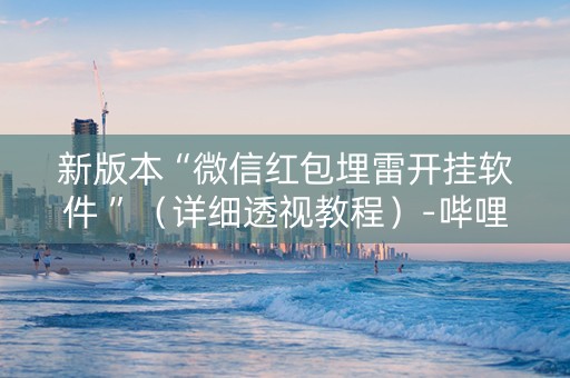 新版本“微信红包埋雷开挂软件 ”（详细透视教程）-哔哩哔哩