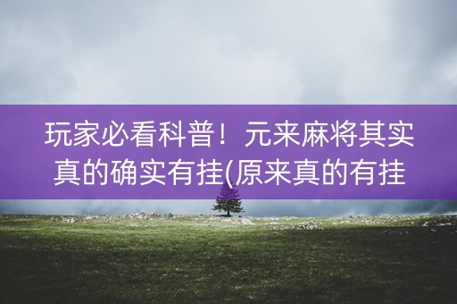 玩家必看科普！元来麻将其实真的确实有挂(原来真的有挂)