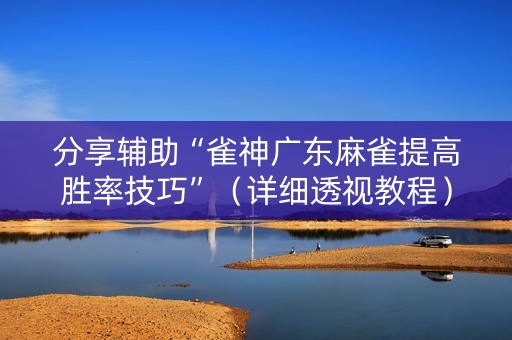 分享辅助“雀神广东麻雀提高胜率技巧”（详细透视教程）-哔哩哔哩