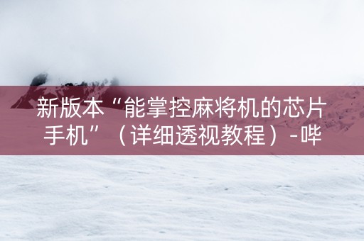 新版本“能掌控麻将机的芯片手机”（详细透视教程）-哔哩哔哩