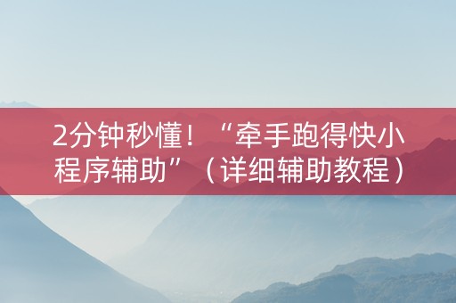 2分钟秒懂！“牵手跑得快小程序辅助”（详细辅助教程）-哔哩哔哩