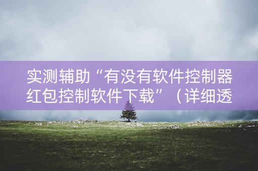 实测辅助“有没有软件控制器红包控制软件下载”（详细透视教程）-哔哩哔哩