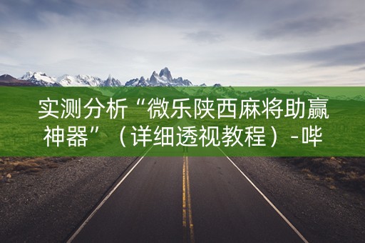 实测分析“微乐陕西麻将助赢神器”（详细透视教程）-哔哩哔哩