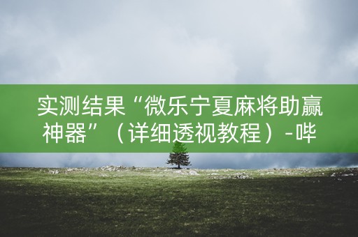 实测结果“微乐宁夏麻将助赢神器”（详细透视教程）-哔哩哔哩