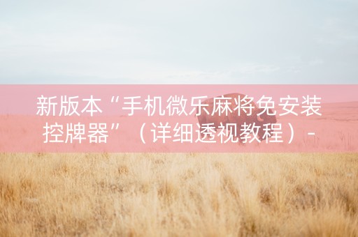 新版本“手机微乐麻将免安装控牌器”（详细透视教程）-哔哩哔哩