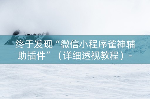 终于发现“微信小程序雀神辅助插件”（详细透视教程）-哔哩哔哩