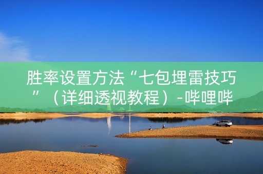 胜率设置方法“七包埋雷技巧”（详细透视教程）-哔哩哔哩