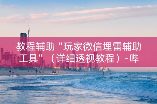 教程辅助“玩家微信埋雷辅助工具”（详细透视教程）-哔哩哔哩