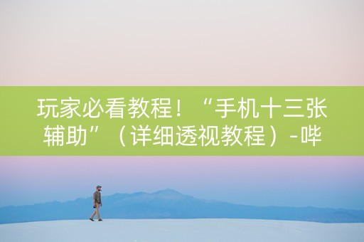 玩家必看教程！“手机十三张辅助”（详细透视教程）-哔哩哔哩