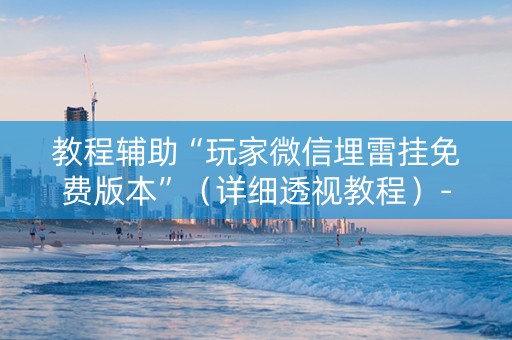 教程辅助“玩家微信埋雷挂免费版本”（详细透视教程）-哔哩哔哩