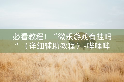 必看教程！“微乐游戏有挂吗”（详细辅助教程）-哔哩哔哩