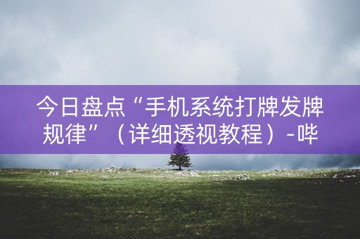 今日盘点“手机系统打牌发牌规律”（详细透视教程）-哔哩哔哩
