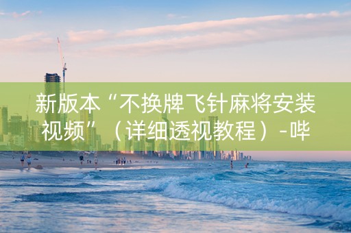 新版本“不换牌飞针麻将安装视频”（详细透视教程）-哔哩哔哩