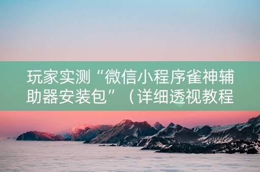 玩家实测“微信小程序雀神辅助器安装包”（详细透视教程）-哔哩哔哩