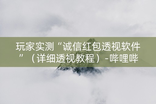 玩家实测“诚信红包透视软件”（详细透视教程）-哔哩哔哩