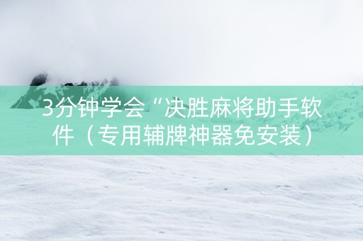 3分钟学会“决胜麻将助手软件（专用辅牌神器免安装）
