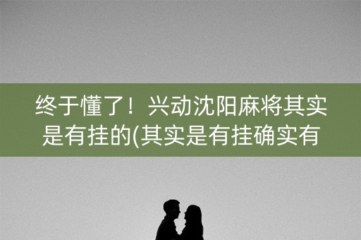 终于懂了！兴动沈阳麻将其实是有挂的(其实是有挂确实有挂)
