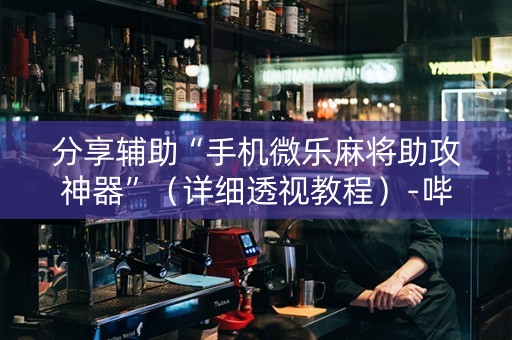 分享辅助“手机微乐麻将助攻神器”（详细透视教程）-哔哩哔哩