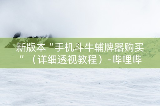 新版本“手机斗牛辅牌器购买”（详细透视教程）-哔哩哔哩