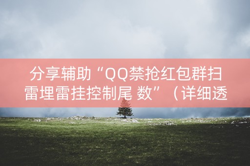 分享辅助“QQ禁抢红包群扫雷埋雷挂控制尾 数”（详细透视教程）-哔哩哔哩