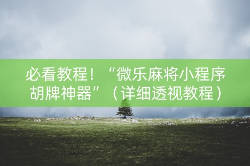 必看教程！“微乐麻将小程序胡牌神器”（详细透视教程）-哔哩哔哩