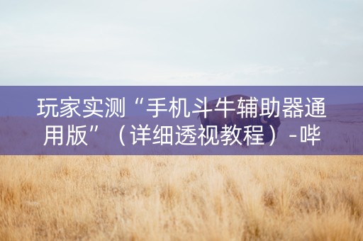 玩家实测“手机斗牛辅助器通用版”（详细透视教程）-哔哩哔哩