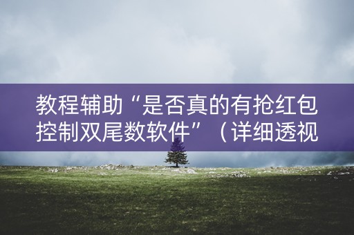 教程辅助“是否真的有抢红包控制双尾数软件”（详细透视教程）-哔哩哔哩