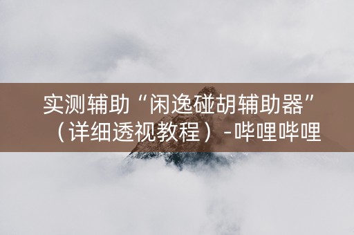 实测辅助“闲逸碰胡辅助器”（详细透视教程）-哔哩哔哩