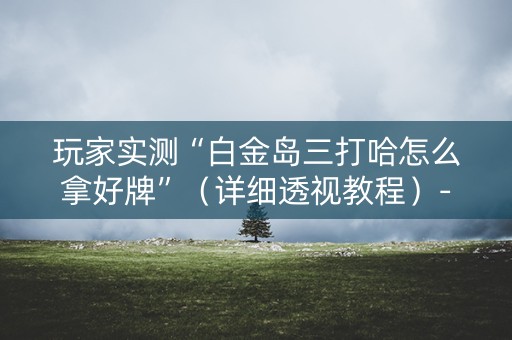 玩家实测“白金岛三打哈怎么拿好牌”（详细透视教程）-哔哩哔哩